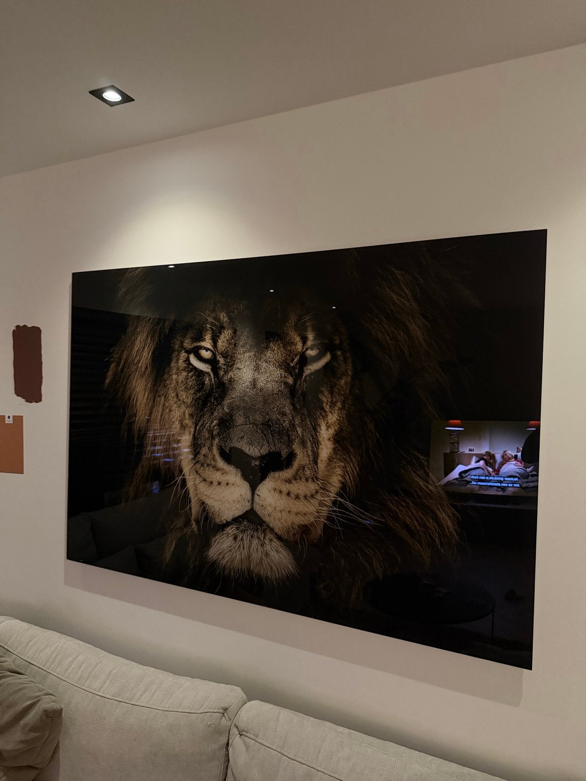 Leeuw foto op Plexiglas 150x100cm, Ophalen, Zo goed als nieuw, Foto of Poster