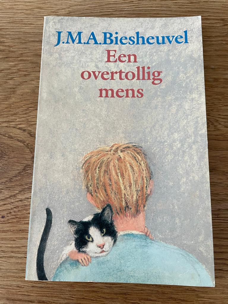J.M.A. Biesheuvel - Een overtollig mens (verhalenbundel), Ophalen of Verzenden, Gelezen, Nederland