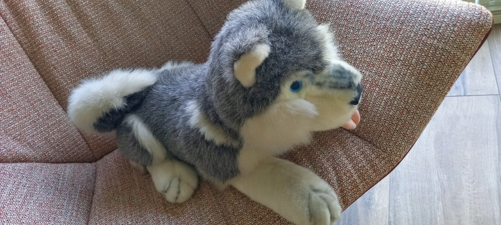 Husky hond knuffel, Kinderen en Baby's, Speelgoed | Knuffels en Pluche, Ophalen of Verzenden, Nieuw, Hond
