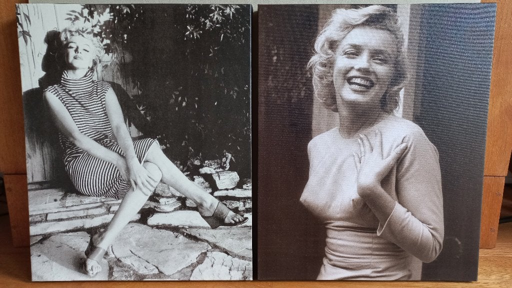 2 canvasdoeken Marilyn Monroe, Ophalen, 50 – 75, Minder dan 50 cm, Gebruikt