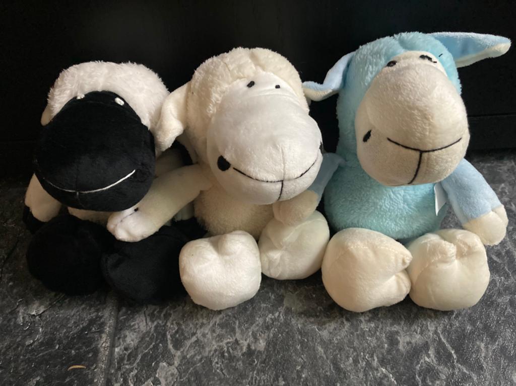 Beeztees schaap knuffel voor honden 3 stuks, Ophalen of Verzenden, Nieuw, Knuffels