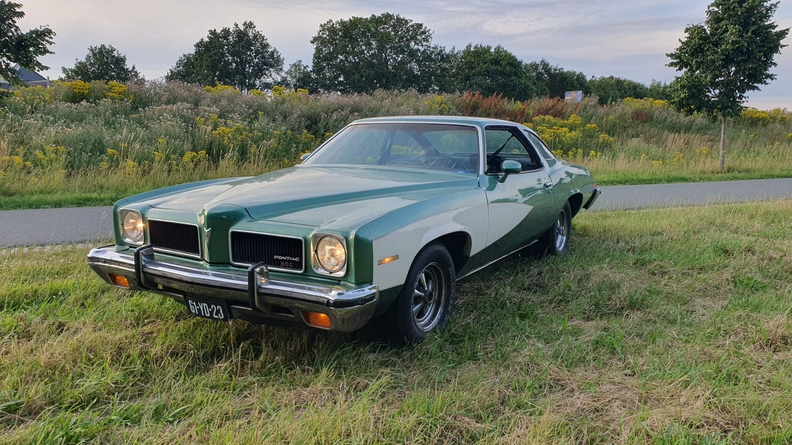 Pontiac LeMans 1973, Auto's, Pontiac, Overige modellen, 1700 kg, Particulier, 175 pk