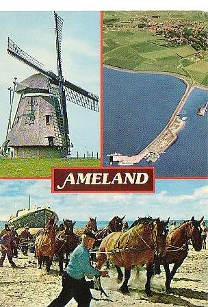 Ansichtkaart 	Ameland	3-luik	Molen	Paarden, Verzenden, 1960 tot 1980, Gelopen, Waddeneilanden
