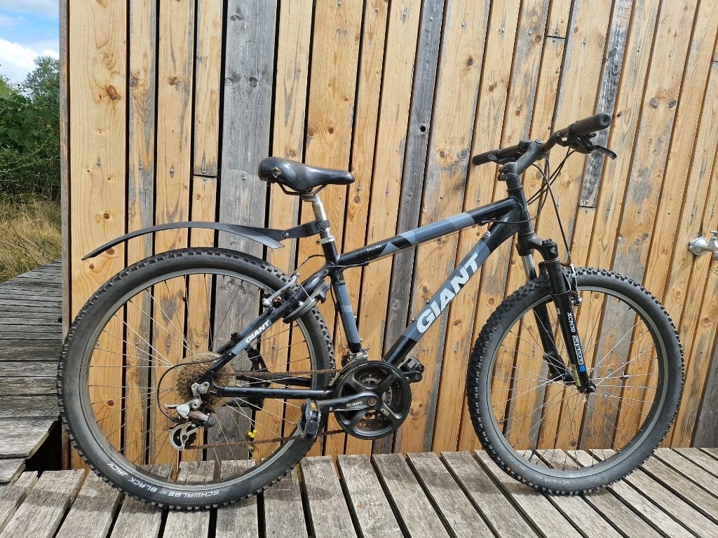 Giant mountainbike jongen, Gebruikt, Velgrem, Giant, Handrem