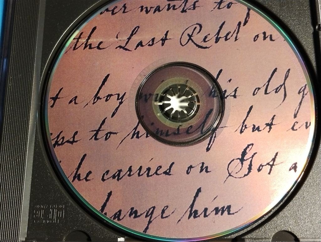 Lynyrd Skynyrd - The Last Rebel, Ophalen of Verzenden, Zo goed als nieuw, Poprock