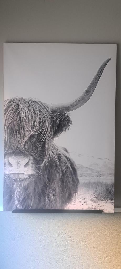Schilderij Schotse Hooglander - 90x60cm - Zo goed als nieuw, Antiek en Kunst, Ophalen