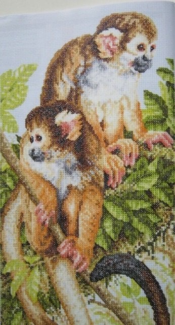 Borduurpatroon  Kapucijner aapjes  nr 6229, Verzenden, Nieuw, Handborduren, Patroon