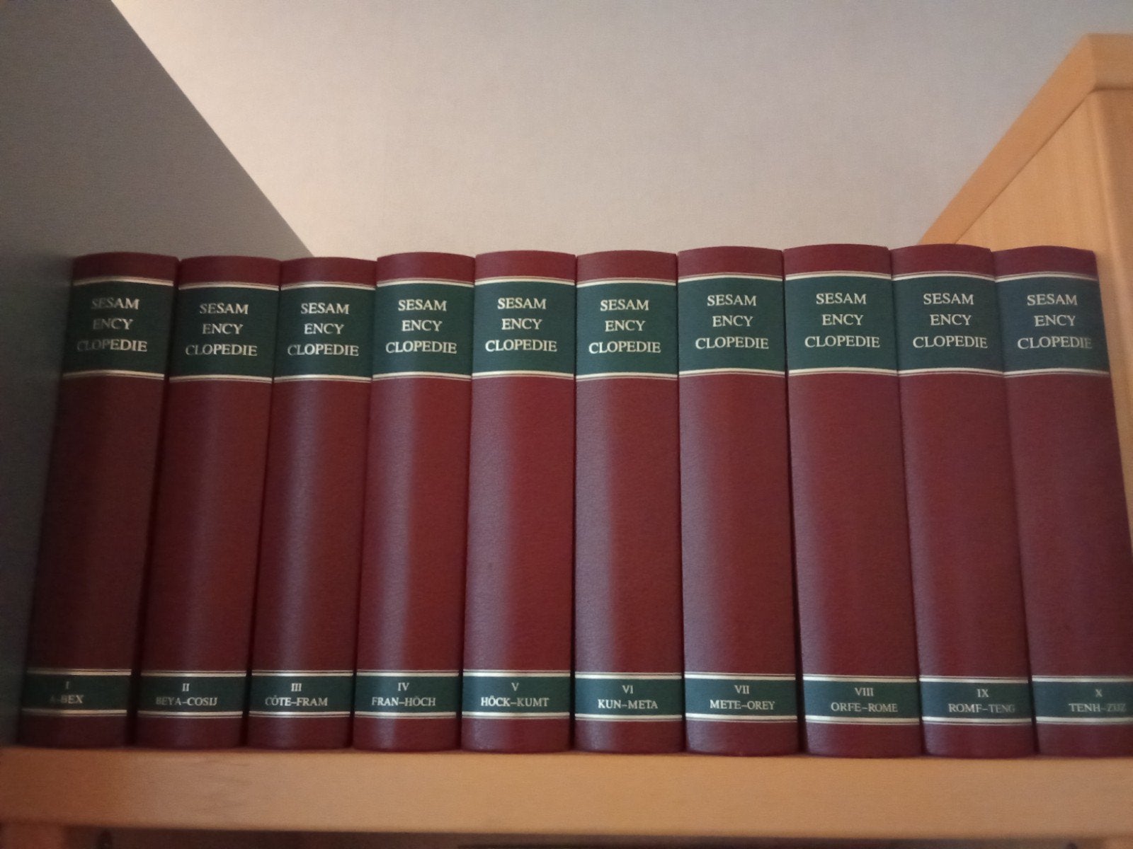 Sesam Encyclopedie 1985, Boeken, Encyclopedieën, Ophalen, Gelezen, Algemeen