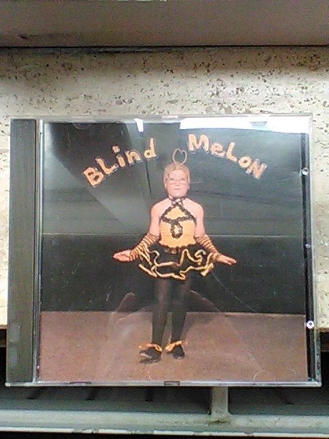 Blind Melon - Same, Ophalen, Zo goed als nieuw, Alternative