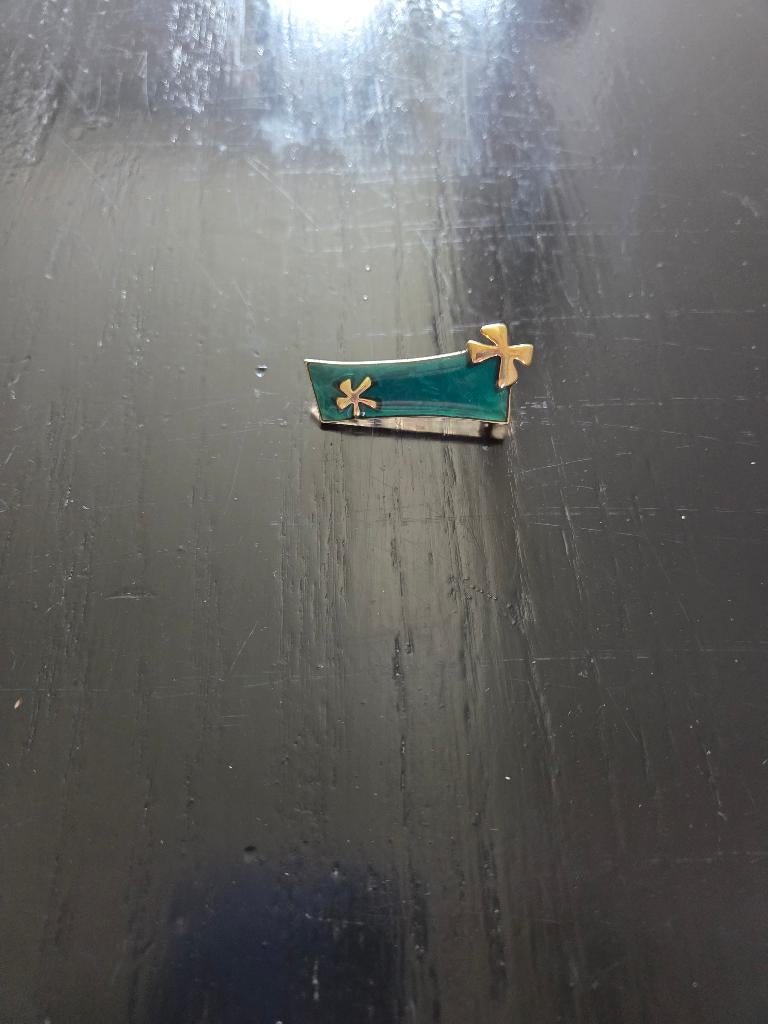 Broche, Overige materialen, Minder dan 4 cm, Ophalen of Verzenden, Zo goed als nieuw