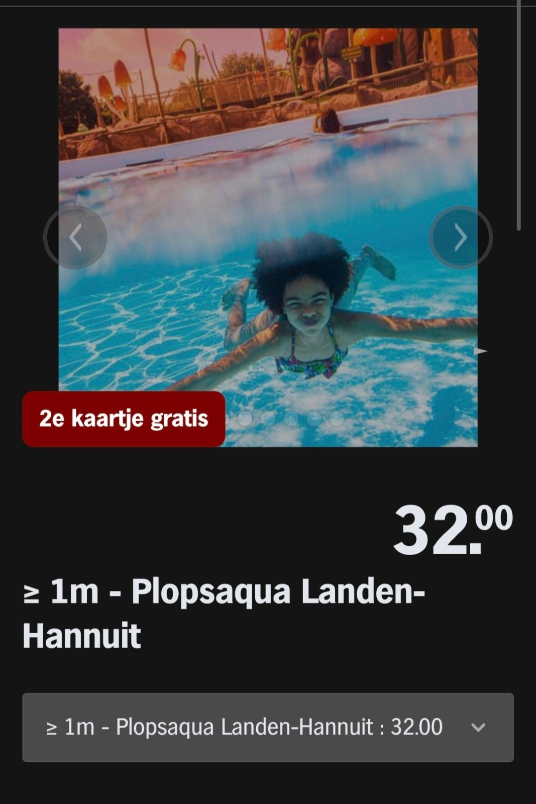 PLOPSAQUA LANDEN-HANNUIT ♡ 2e kaartje gratis AH SPAARKAARTEN, Overige typen