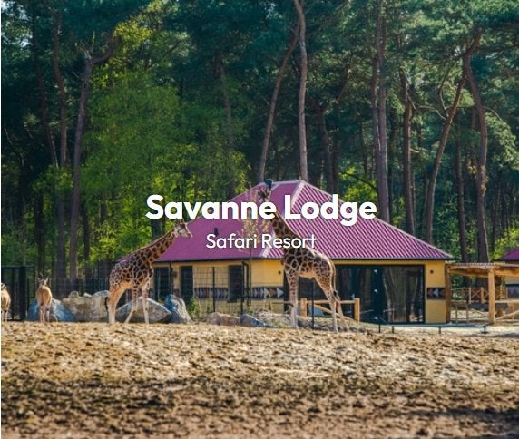 vakantiehuisje Beekse Bergen te huur, Vakantie, Noord-Brabant, Recreatiepark, Chalet, Bungalow of Caravan, Eigenaar