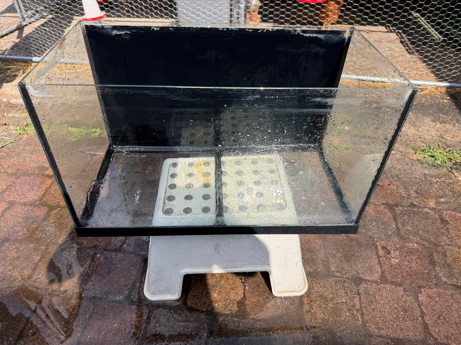 Aquarium, Dieren en Toebehoren, Ophalen, Leeg aquarium