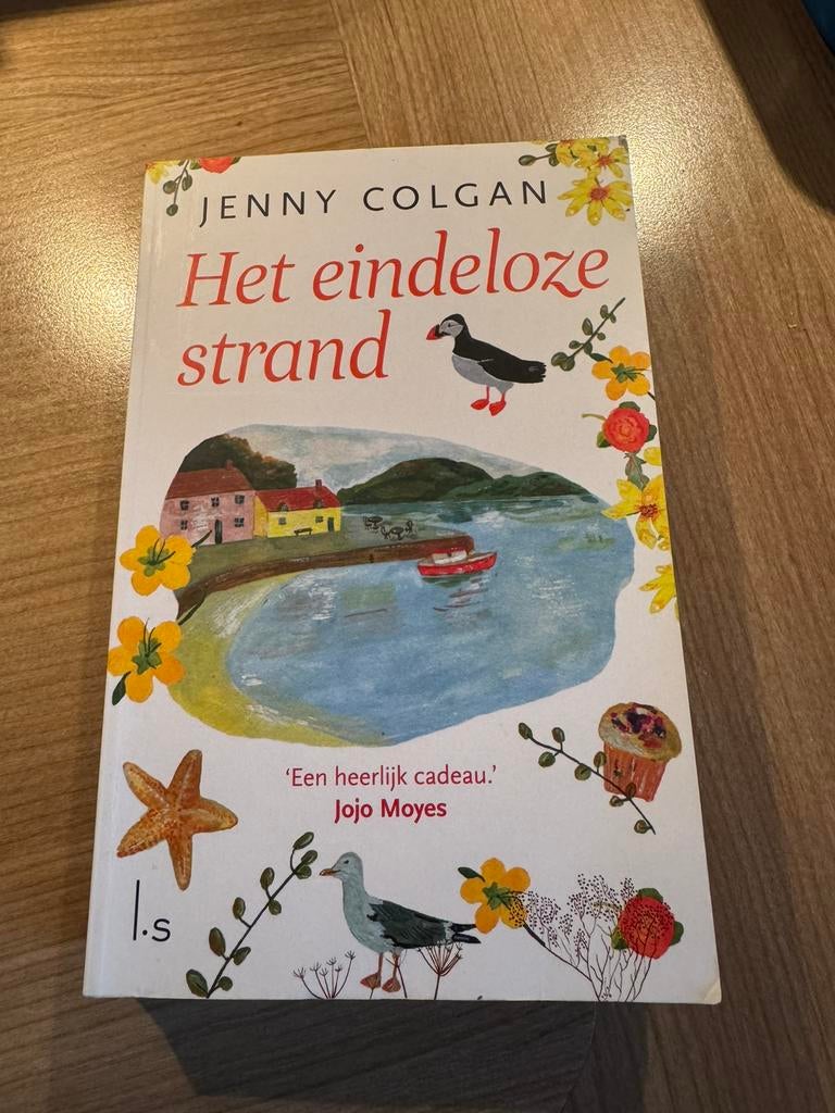 Boek het eindeloze strand, Ophalen of Verzenden, Gelezen