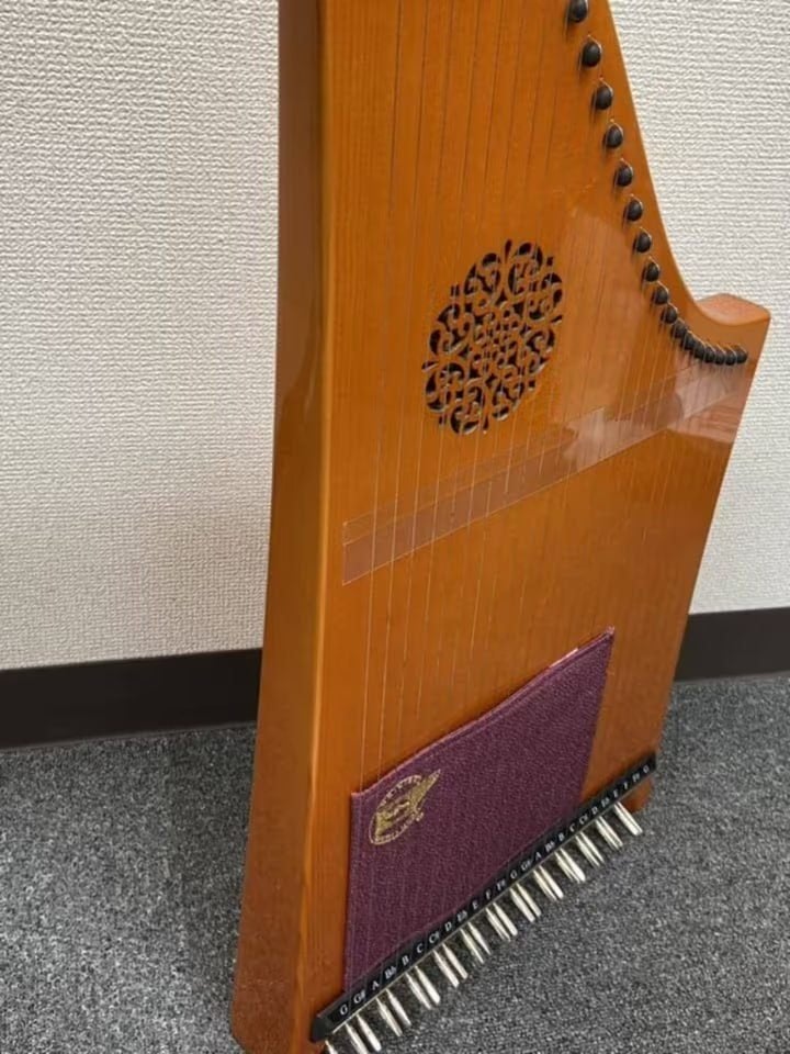 Hermann Veeh 25-snarige harp instapmodel met koffer, Ophalen of Verzenden, Zo goed als nieuw