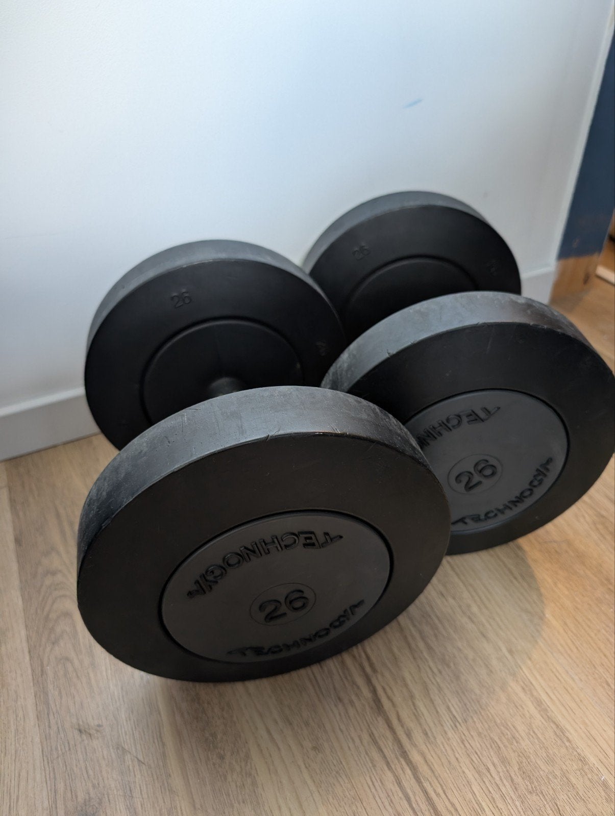 Technogym Dumbbells 26 kg - In Goede Staat, Ophalen, Zo goed als nieuw, Rug, Dumbbell