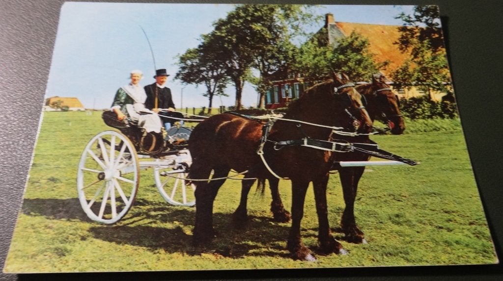Paarden - Friesland - Klederdracht - Sjees - KHo03, Verzenden, 1980 tot heden, Gelopen, Paard