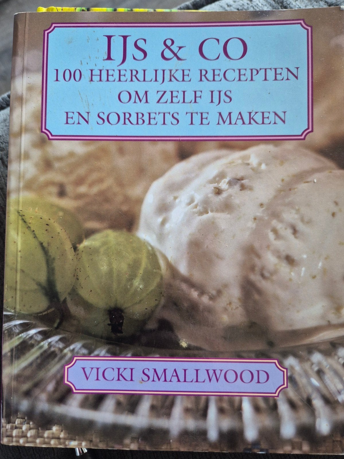 IJs & Co: 100 heerlijke recepten om zelf ijs en sorbets te m, Boeken, Gelezen, Vicki Smallwood, Ophalen of Verzenden, Taart, Gebak en Desserts