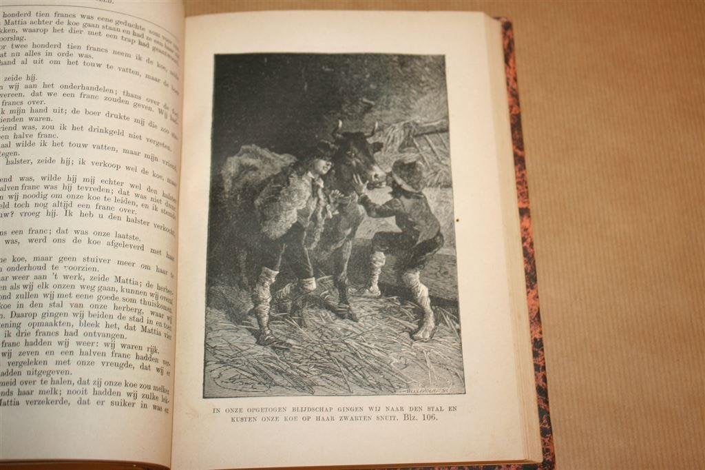 lleen op de wereld 2e deel - Hector Malot - 1882, Antiek en Kunst, Antiek | Boeken en Bijbels, Ophalen of Verzenden
