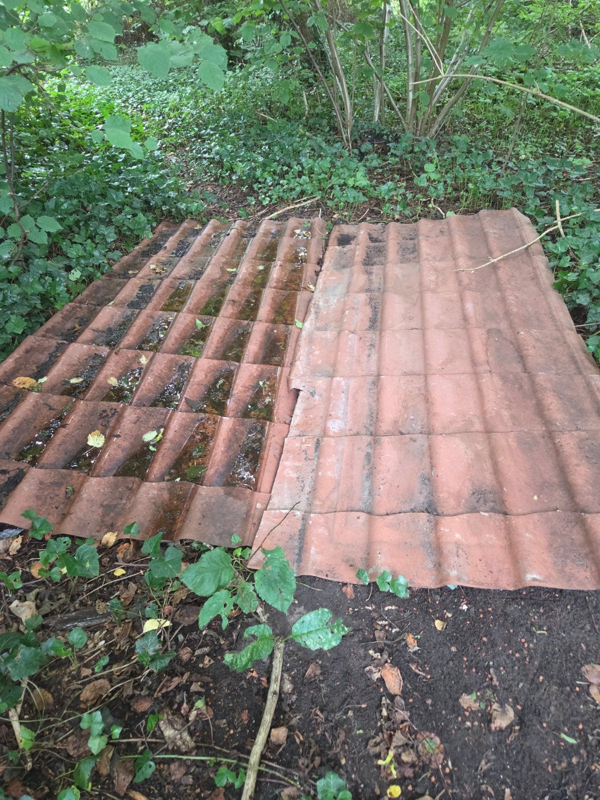 Dakpanplaten en toebehoren - Rood, Grijs, Zwart, Doe-het-zelf en Verbouw, Dakpannen en Dakbedekking, Ophalen, Metaal, 15 m² of meer