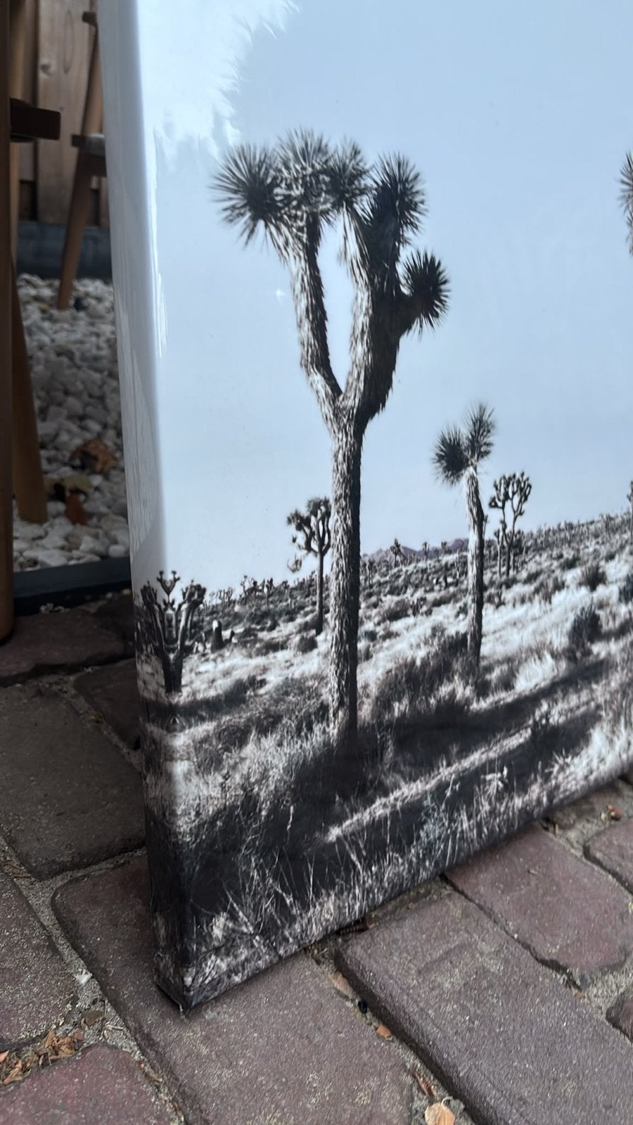 Zwart-wit canvas schilderij Joshua Trees, Ophalen, Zo goed als nieuw, Schilderij, 75 – 100
