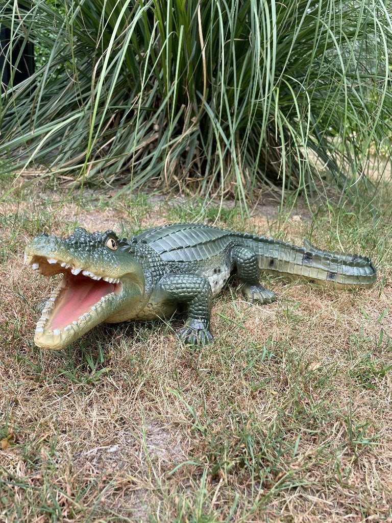 Beeld krokodil tuin, gazon, dierentuin, boerderij 60cm, Tuin en Terras, Tuinbeelden, Nieuw, Dierenbeeld, Kunststof, Ophalen