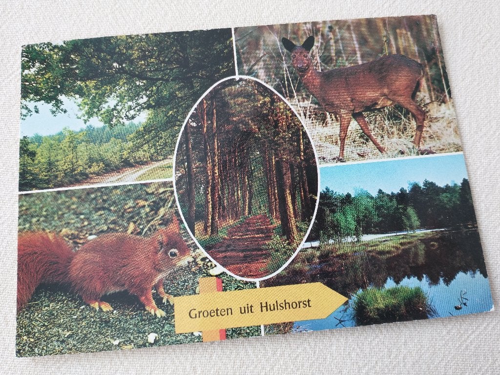 Groeten uit Hulshorst - 5 afbeeldngen, Ophalen of Verzenden, 1960 tot 1980, Gelopen, Gelderland