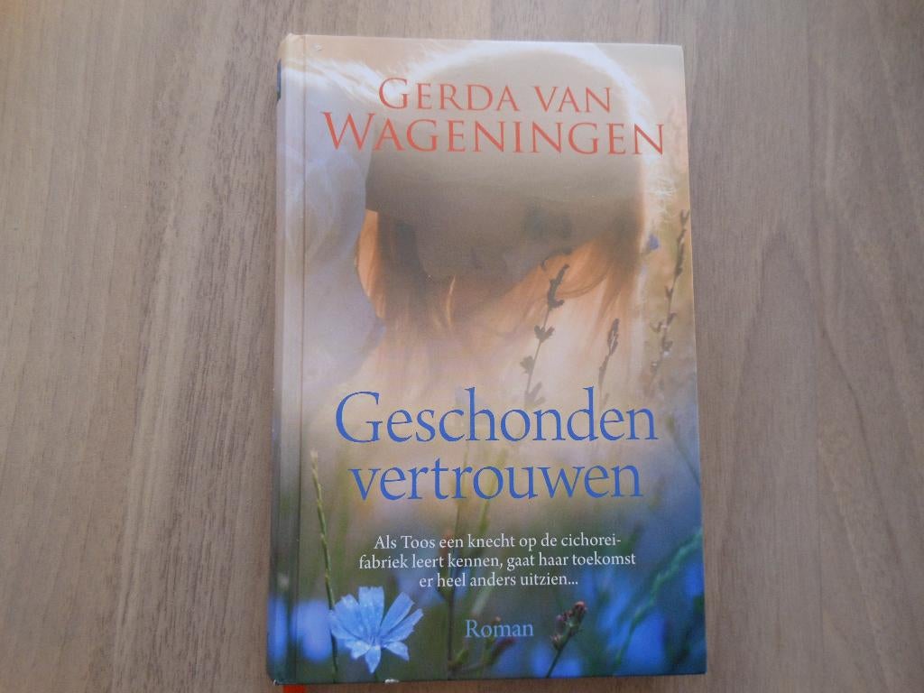 Gerda van Wageningen / Geschonden vertrouwen, Ophalen of Verzenden, Gelezen, Zeeland