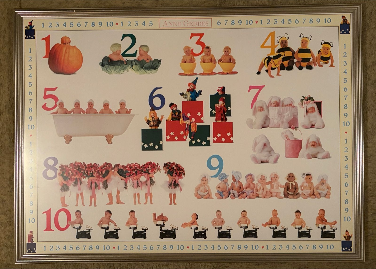 Anne Geddes Baby's Tellen Poster - Ingelijst, 50 – 75, Gebruikt, Oorspronkelijke maker, Ophalen of Verzenden