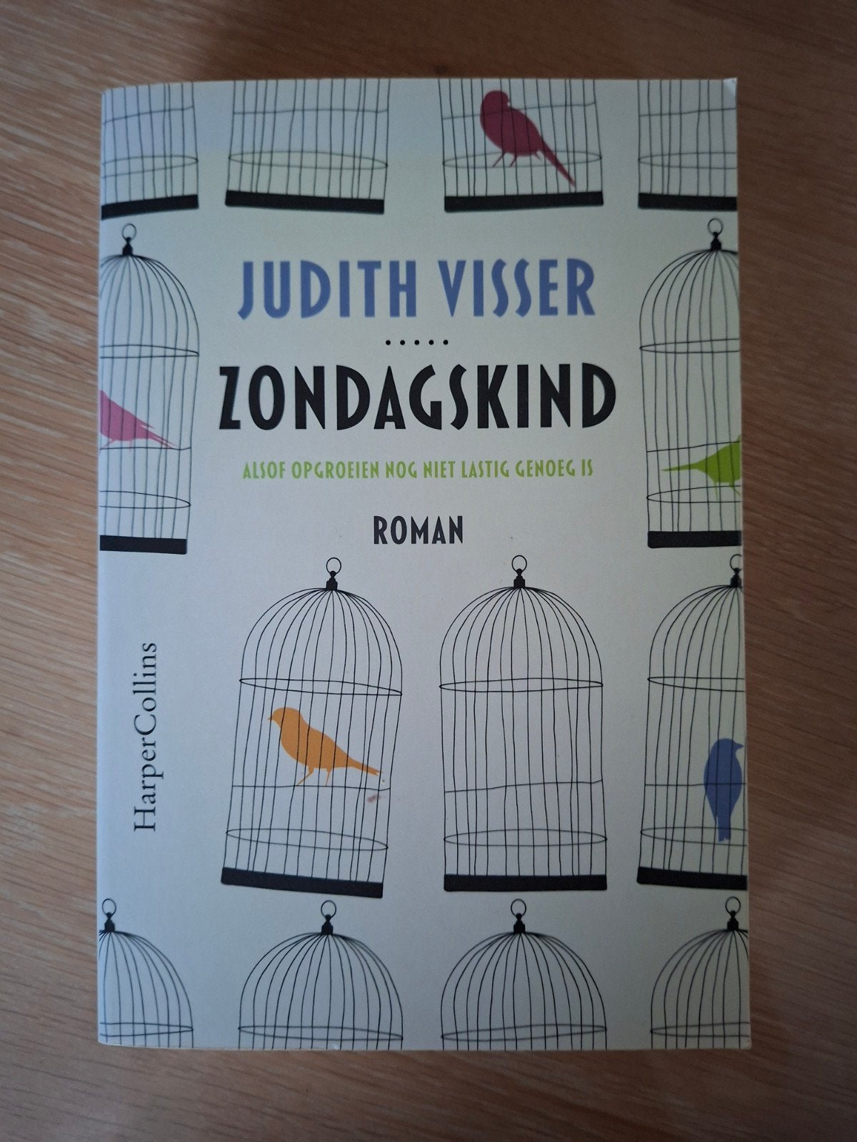 Zondagskind - Judith Visser (Roman over autisme), Ophalen of Verzenden, Zo goed als nieuw, Judith Visser, Nederland