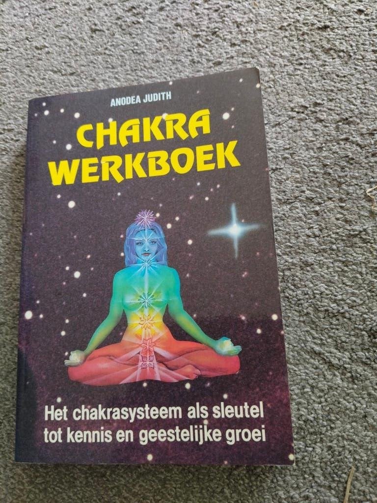 Chakra Werkboek Anodea Judith, Boeken, Spiritualiteit algemeen, Ophalen of Verzenden, Zo goed als nieuw, Instructieboek