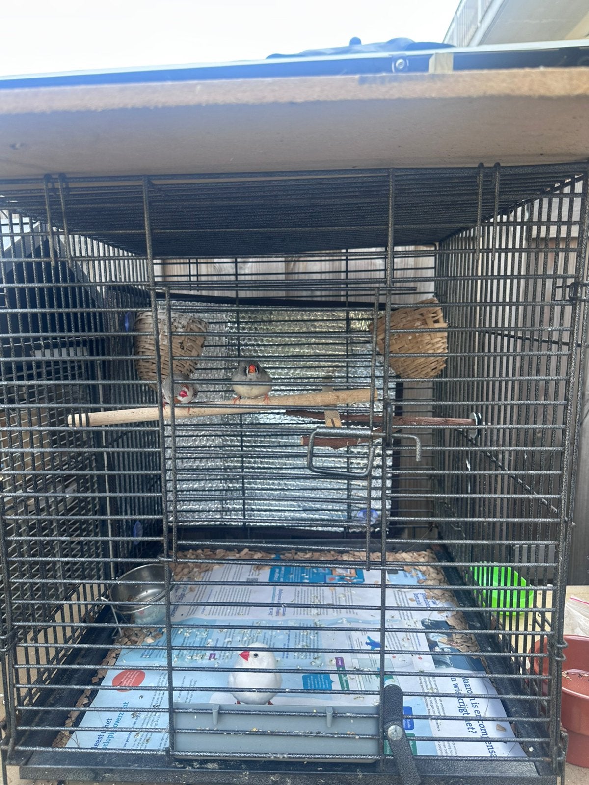 Mooi Zebravink totaal 25 euro, Dieren en Toebehoren, Vogels | Hokken en Kooien, Verzenden, Zo goed als nieuw, Hout, Vogelkooi