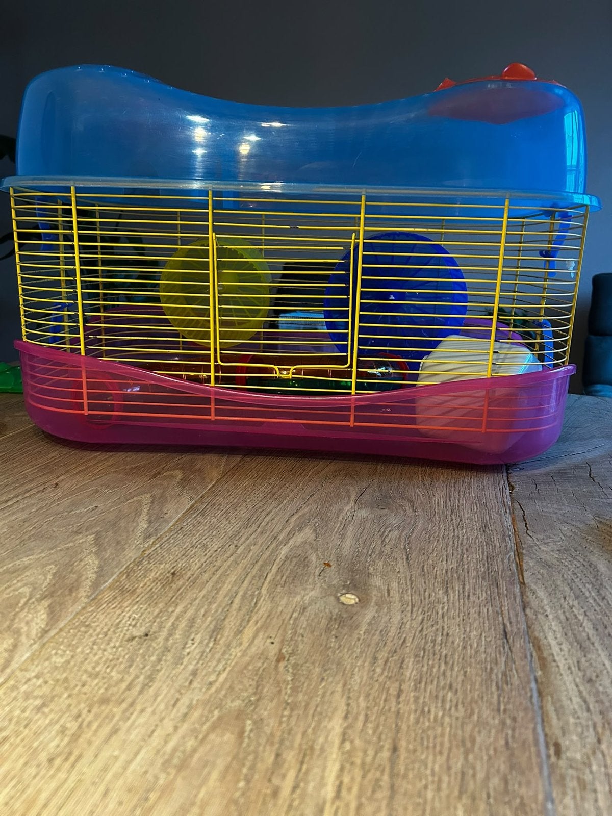Hamsterkooi groot met assecoires, Kooi, Gebruikt, Minder dan 75 cm, Ophalen