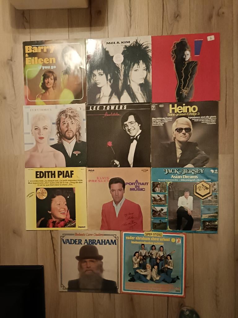 12 verschillende LP's van zangers en/of zangeressen., Cd's en Dvd's, Vinyl | Pop, Fotohoes, Ophalen of Verzenden, Gebruikt, 12 inch