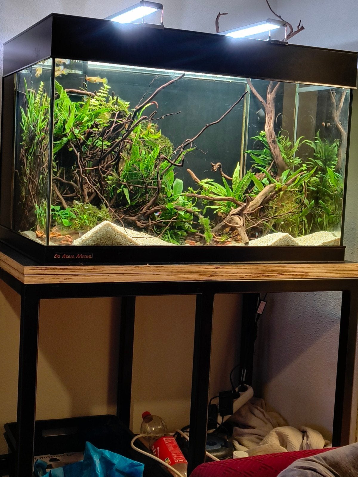 aqua meddic aquarium 90 60 60 cm, Ophalen, App-bediening, Aqua Medic, Gevuld zoetwateraquarium