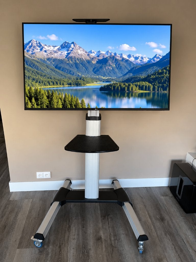 LG 65 inch 4K Smart TV + professionele verrijdbare standaard, 50 Hz, Ophalen of Verzenden, Zo goed als nieuw, 100 cm of meer