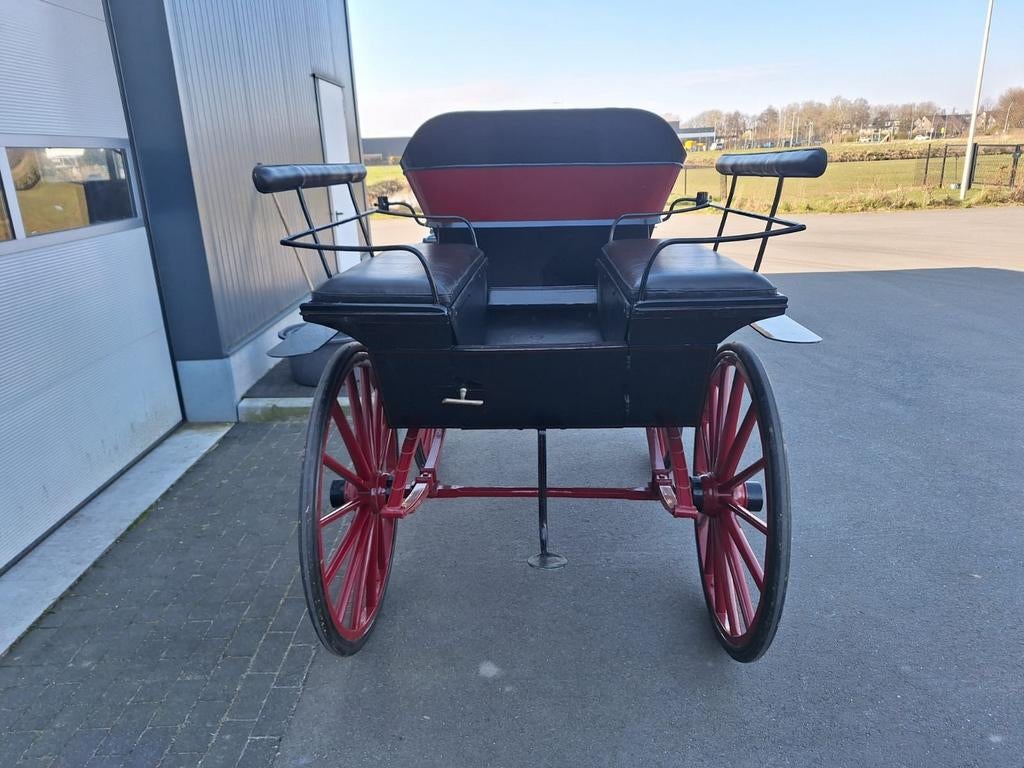 Wagonette, Dieren en Toebehoren, Rijtuigen en Koetsen, Overige typen