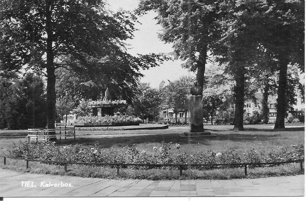 Oude ansichtkaart Tiel, Kalverbos ., Ophalen of Verzenden, 1960 tot 1980, Ongelopen, Gelderland