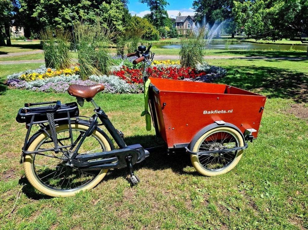 Multifunctionele Bakfiets Trike Smal Cruiser met 500Wh accu!, Ophalen, Gebruikt, Overige typen, Bakfiets NL