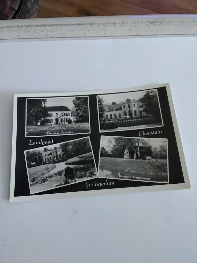 APPINGEDAM. LANDGOED EKENSTEIN, Ophalen of Verzenden, Voor 1920, Zuid-Holland