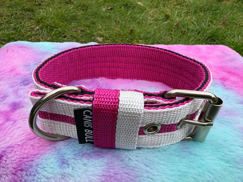NIEUW honden Canis Bull halsband 4x50cm engelse stafford, Ophalen of Verzenden, Handgemaakt, Nieuw