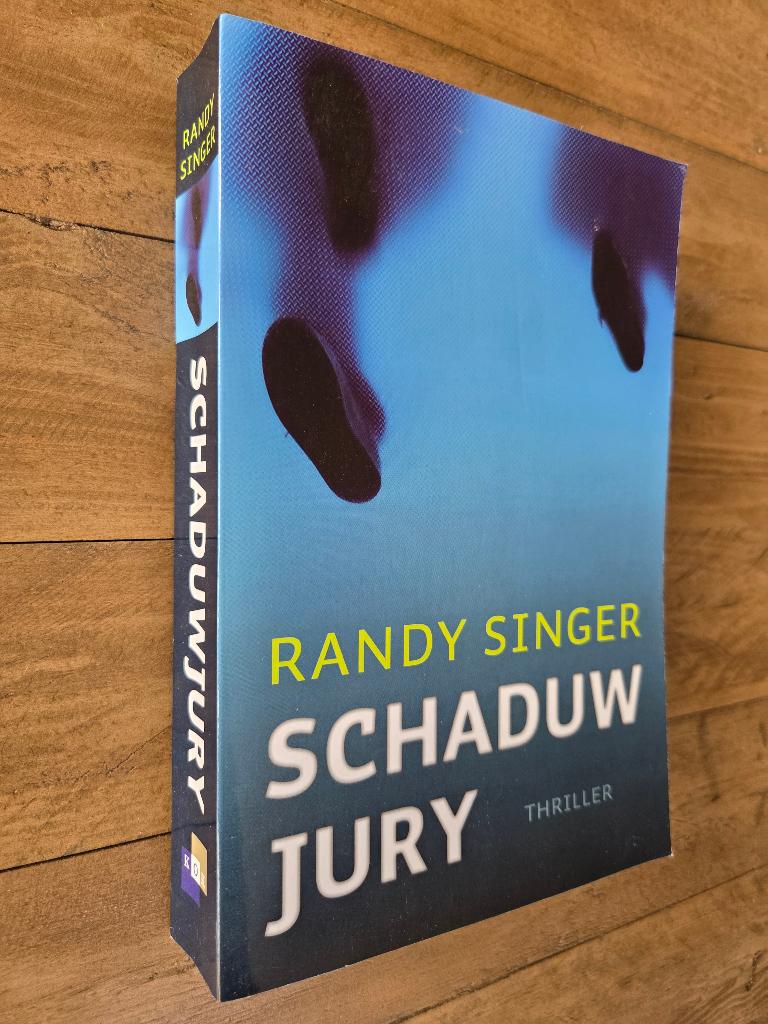 Schaduwjury - Randy Singer (christelijke thriller), Boeken, Ophalen of Verzenden, Zo goed als nieuw
