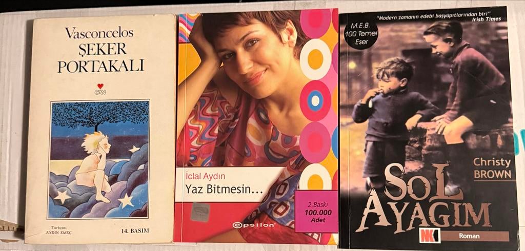 Diverse Turkse boeken - Romans en meer, Ophalen of Verzenden, Gelezen