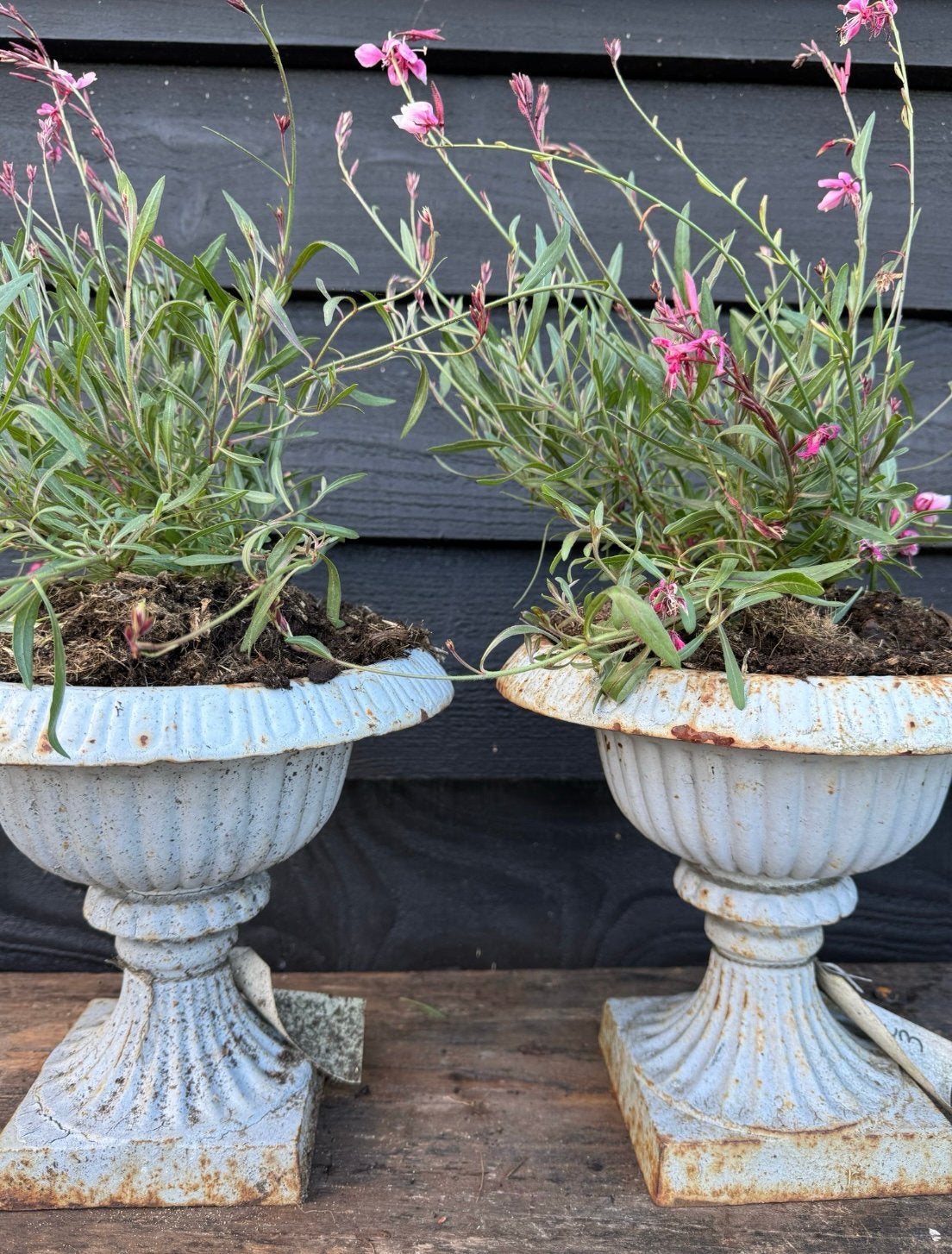 Tuinvaas vaasjes gietijzer lichtblauw roest bloempot, Ophalen of Verzenden