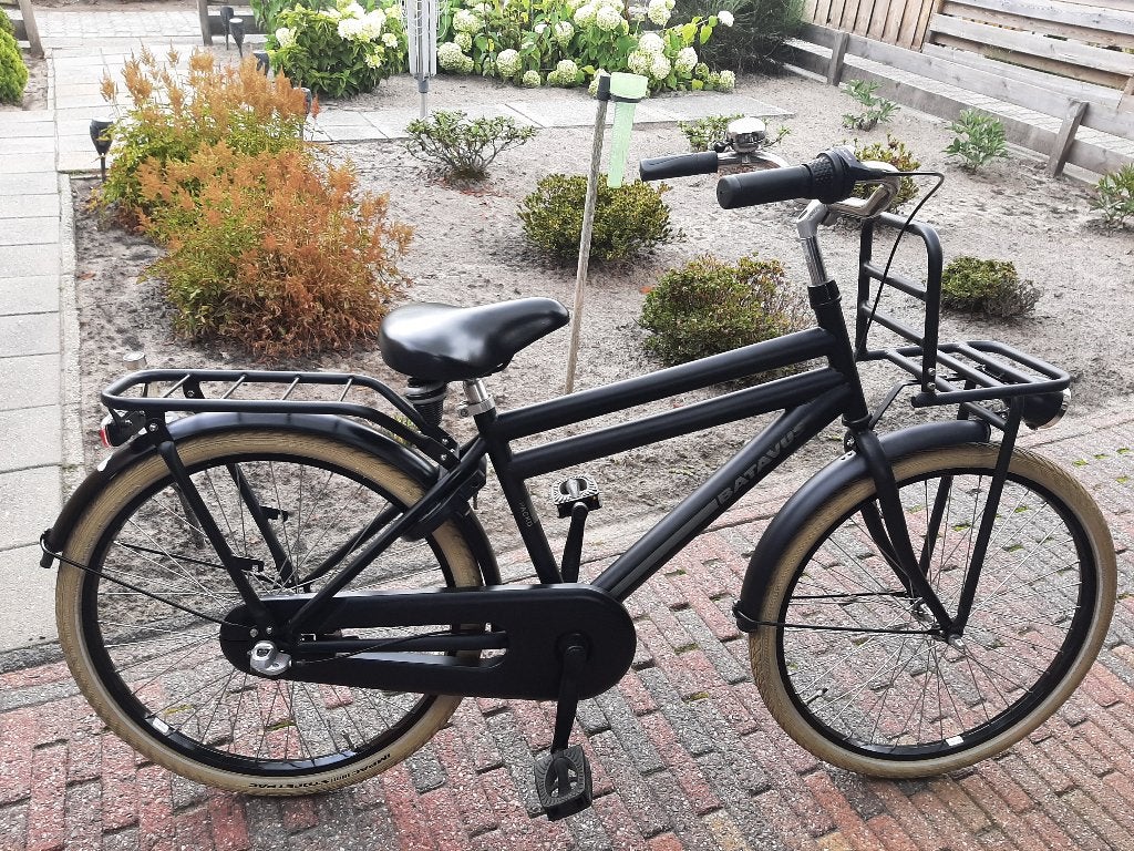 2 x Prachtige fietsen 1 x Batavus en 1 x Sparta 24 inch 3V, Ophalen, Terugtraprem, 24 inch, Versnellingen