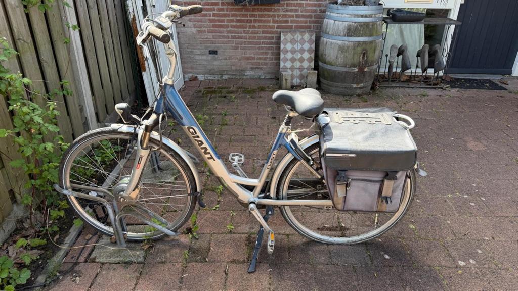 Giant twist go double, Fietsen en Brommers, Elektrische fietsen, Ophalen, Gebruikt, Giant