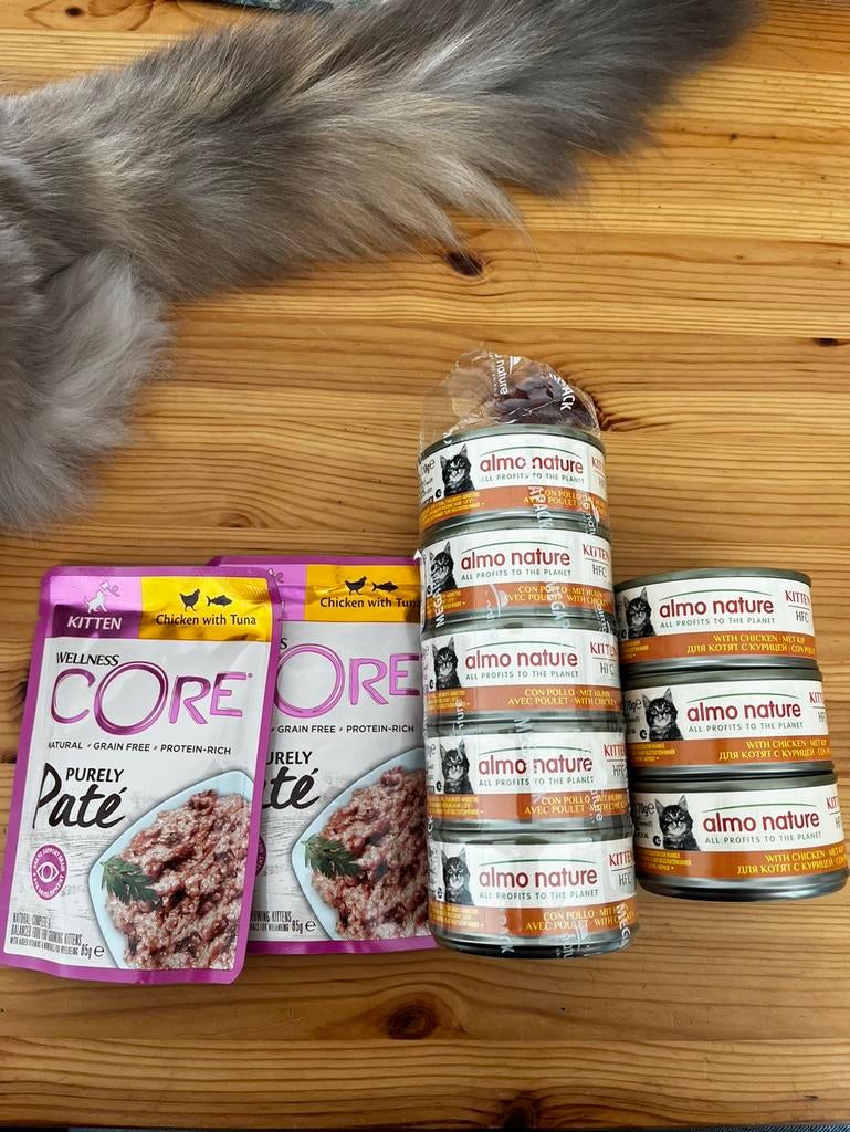 Kitten natvoer Wellness core en almo nature, Dieren en Toebehoren, Dierenvoeding, Ophalen, Kat