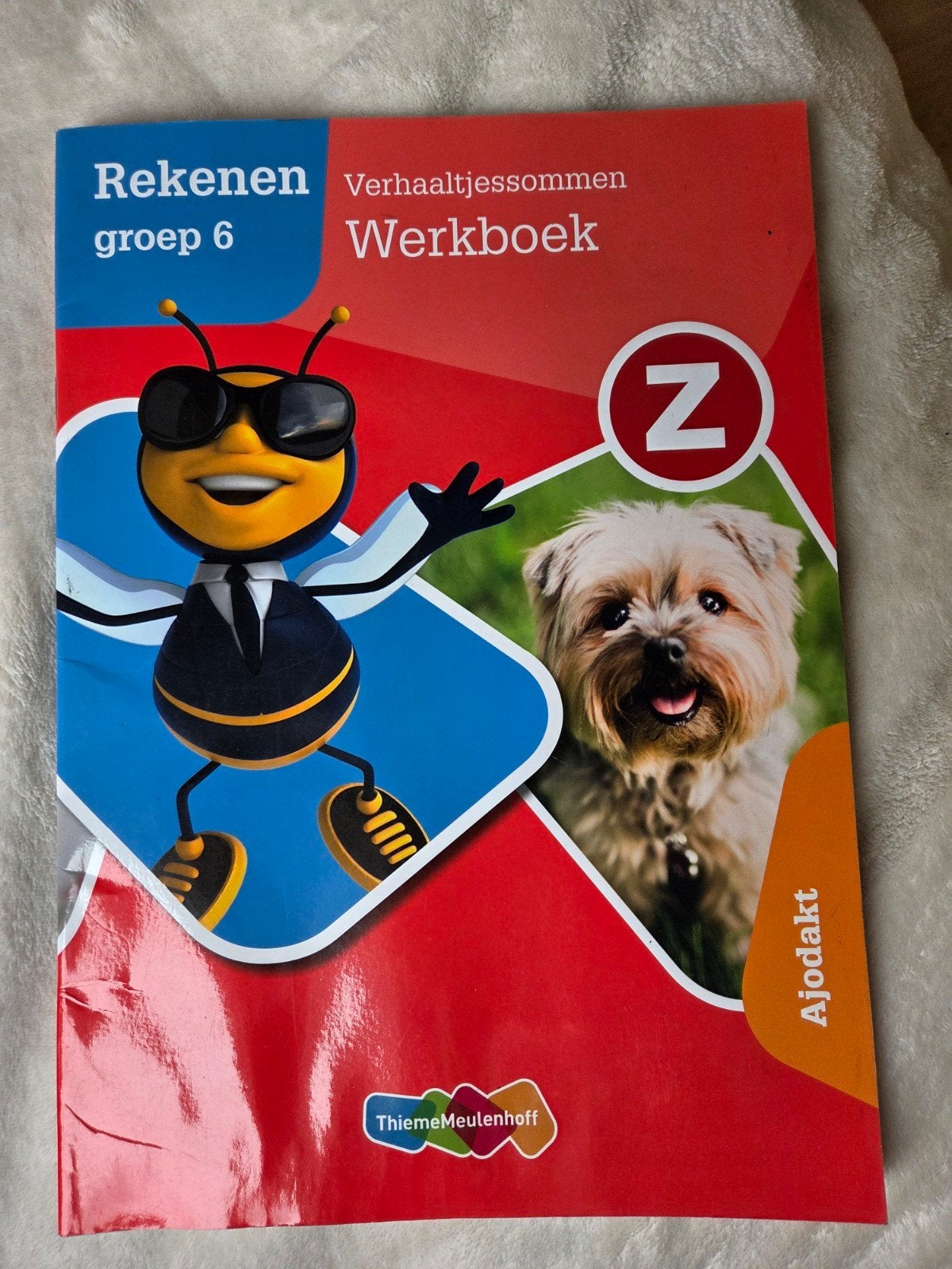 Werkboek Rekenen groep 6 Verhaaltjessommen, Boeken, Ophalen of Verzenden, Zo goed als nieuw, Overige niveaus, Overige vakken