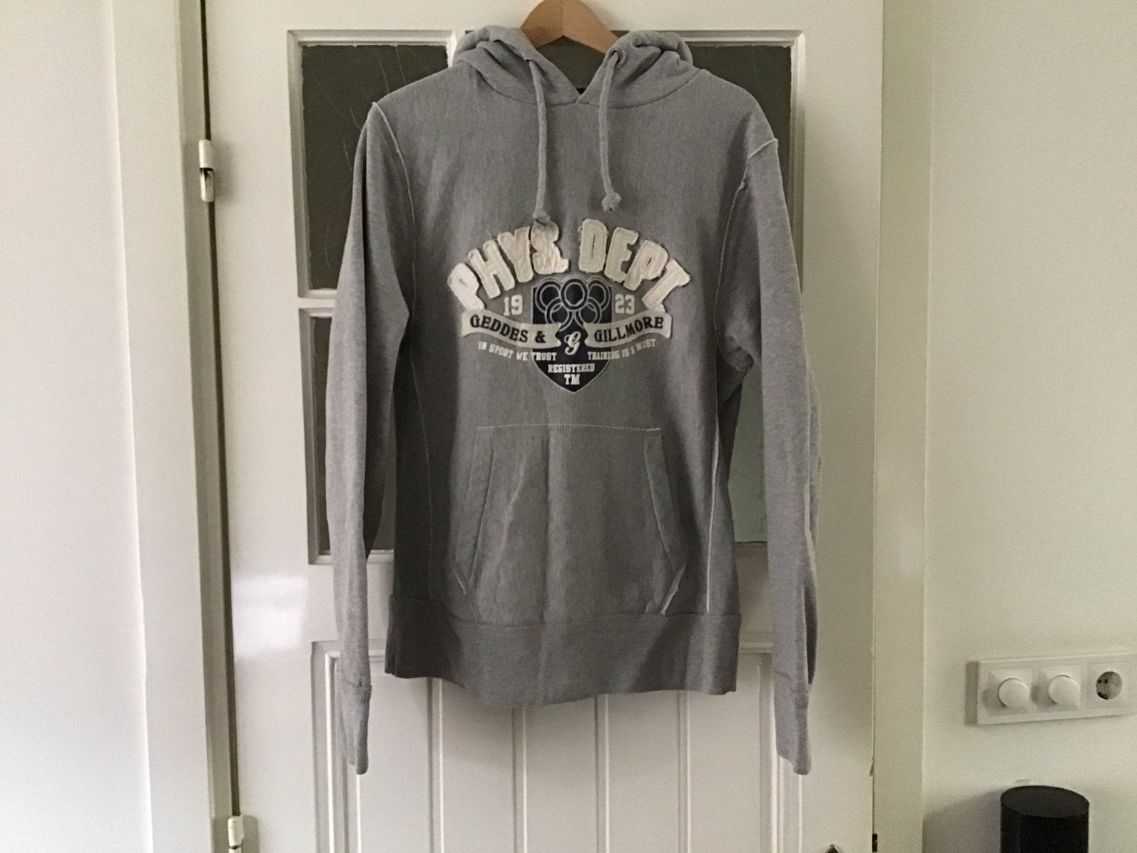 Hoodie sweater trui Geddes & Gillmore  zgan, Geddes & Gillmore, Maat 42/44 (L), Ophalen of Verzenden, Zo goed als nieuw