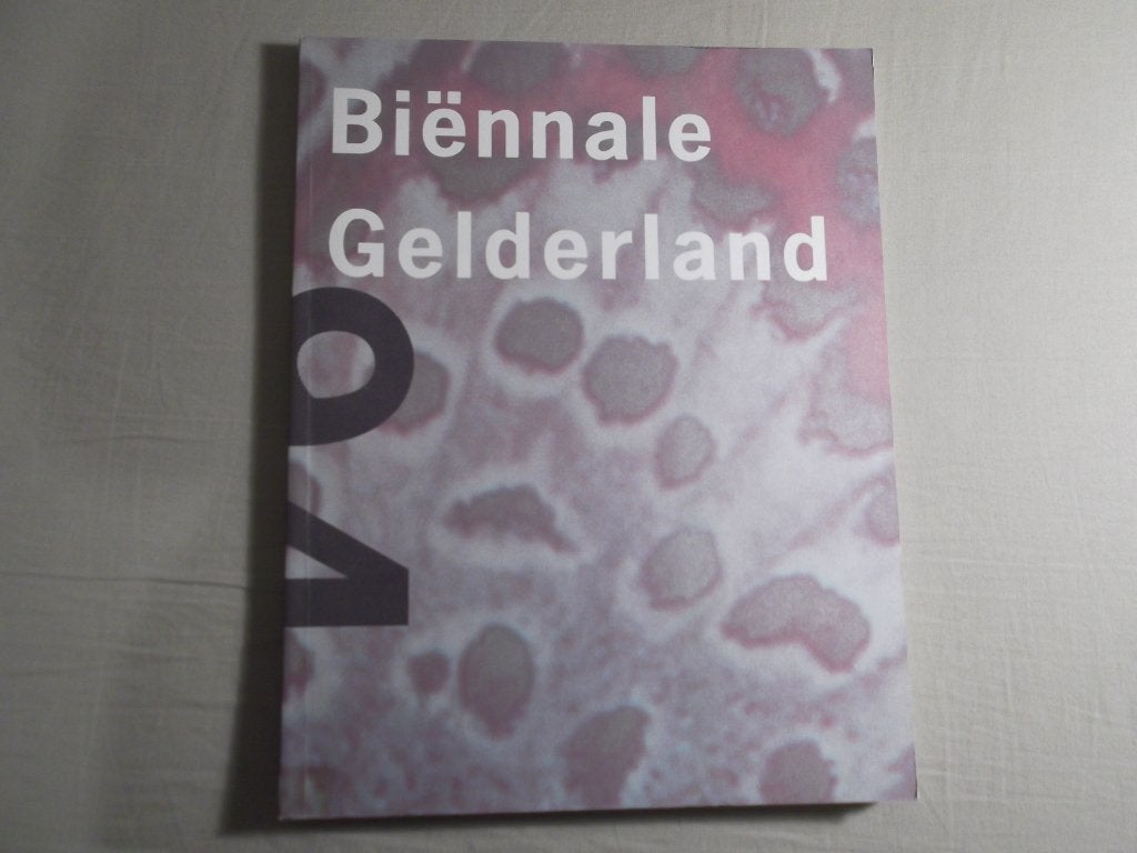 Biënnale Gelderland 94. Arnhem. Nijmegen. Zutphen., Verzenden, Zo goed als nieuw, Zie beschrijving, Schilder- en Tekenkunst
